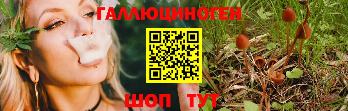 Псилоцибиновые грибы Psilocybine cubensis  купить наркотики цена  Чистополь  Вход с VPN 